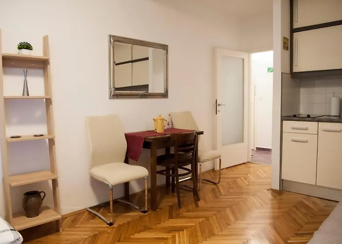 Studio Apartment Vijenac