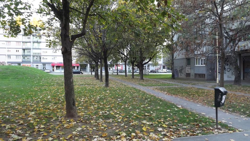 Vijenac * Osijek
